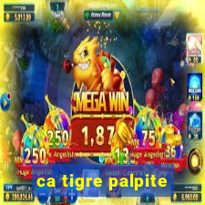 ca tigre palpite